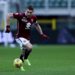 Belotti