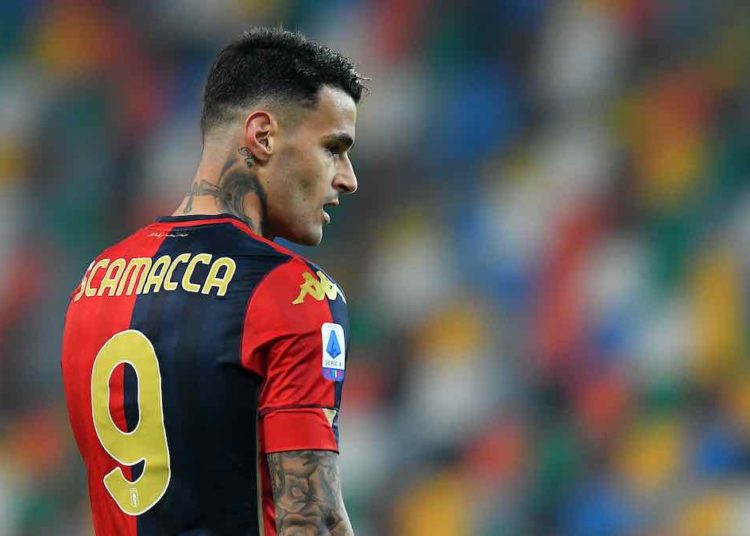 CM: Scamacca- the goals are back: the price of Sassuolo and the choices of Milan and Juve