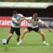 Absences continue as AC Milan confirms squad list to take on Venezia