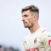 Gabbia of AC Milan