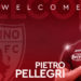Pellegri