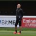 Stefano Pioli of ac milan