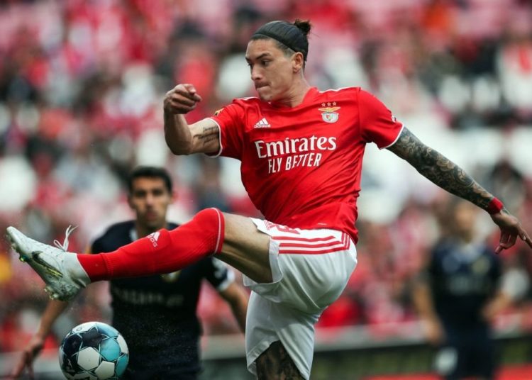 darwin nunez benfica