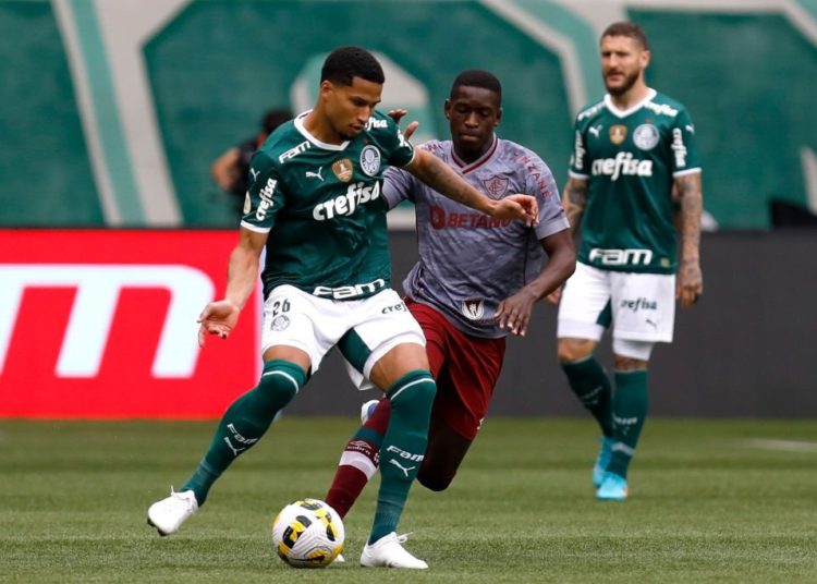 danilo palmeiras