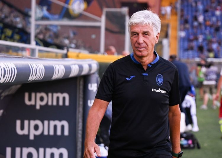Gaserpini Atalanta