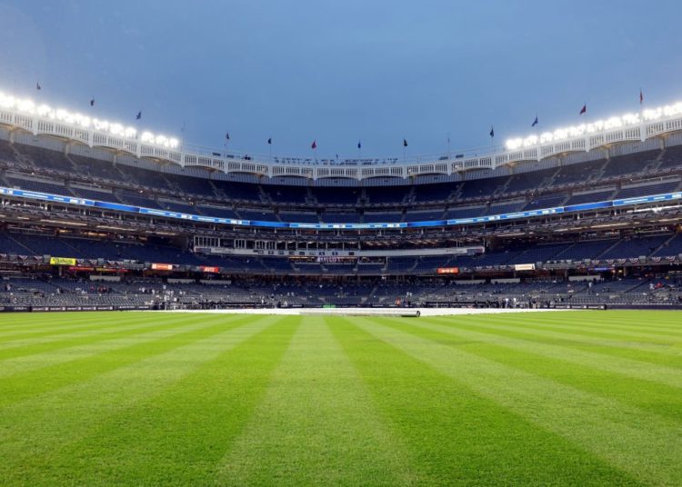 Yankee stadium New York