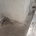 Shocking footage shows San Siro pillar SHAKING