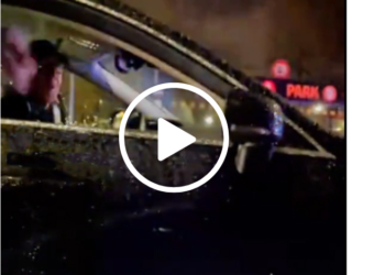 VIDEO of Atalanta coach Gasperini throws sandwich at AC Milan fan