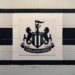 Newcastle logo