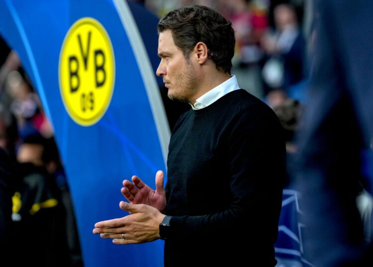Edin Terzic of Borussia Dortmund
