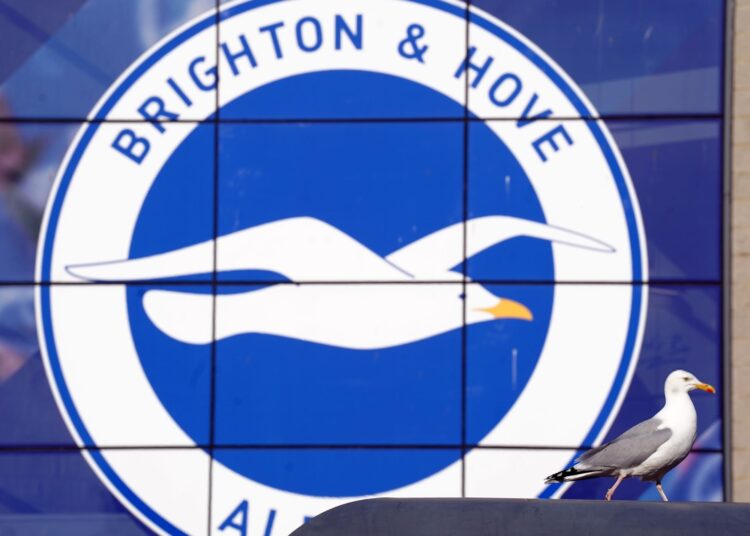 Brighton logo crest