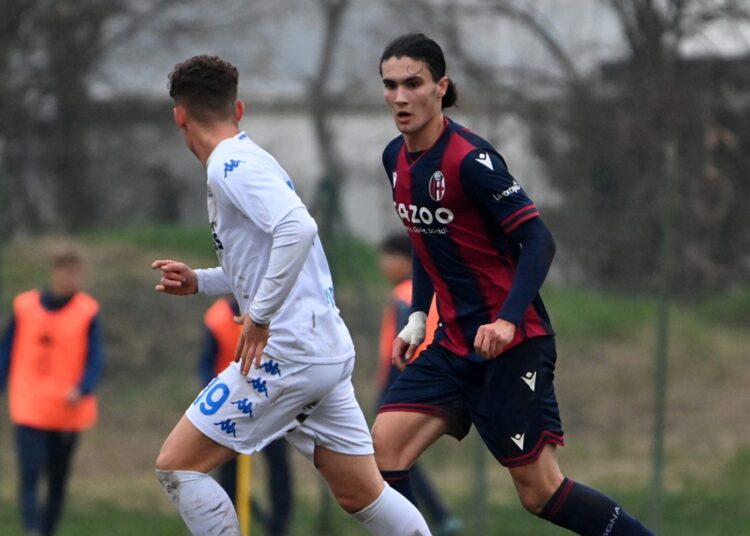 Demirel Hodzic (Bologna)