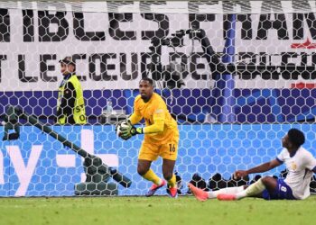 Mike Maignan مينيون