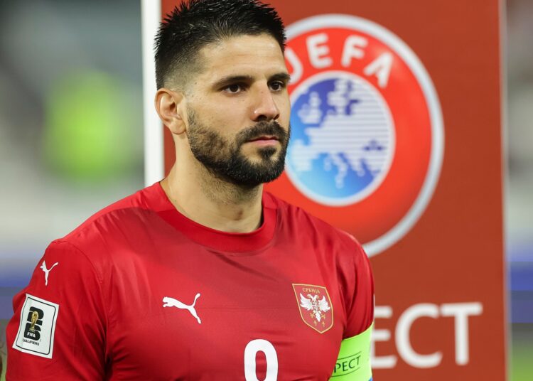Aleksandar Mitrovic
