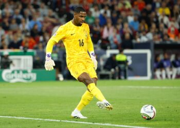 Mike Maignan مينيون