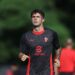 Christian Pulisic AC Milan ميلان بوليسيك