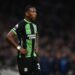 Pervis Estupinan Brighton إستوبينان