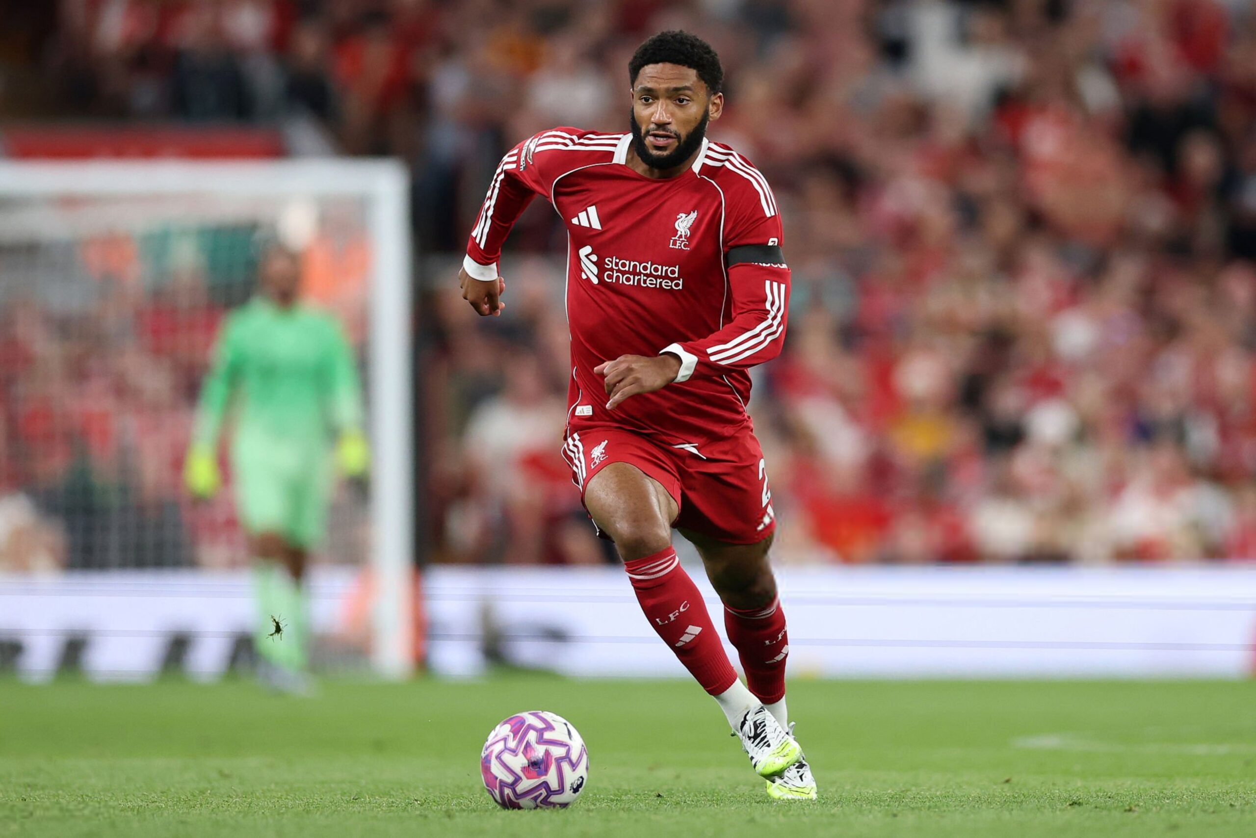 Joe Gomez Liverpool