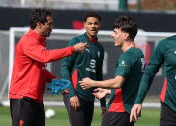 Ardon Jashari Koni De Winter