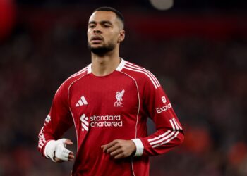 Milan’s surprise movein attack: Cody Gakpo as a potential reinforcement?