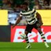 Issa Doumbia of Sporting CP